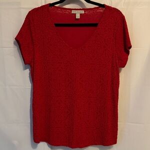 Dana Bachman Womens V-Neck Textured, Large Comfort Casual Stretch Soft